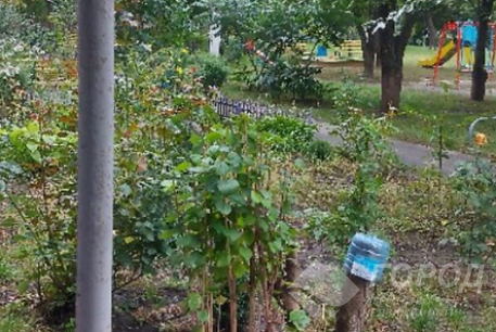 Продам 1-кімнатну квартиру, Новые дома, Код: 797231/1