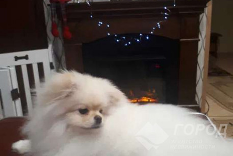 Продам 3-х кімнатну квартиру, Новые дома, Код: 797326/1