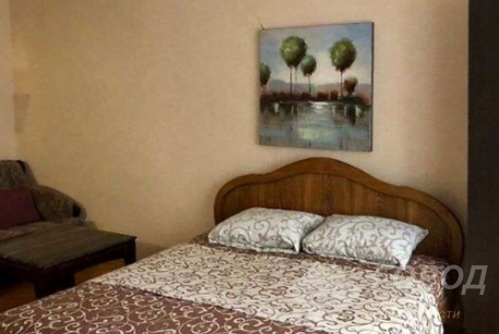 Сдам 1-кімнатну квартиру, Сосновая Горка, Научная метро, Код: 798065/1