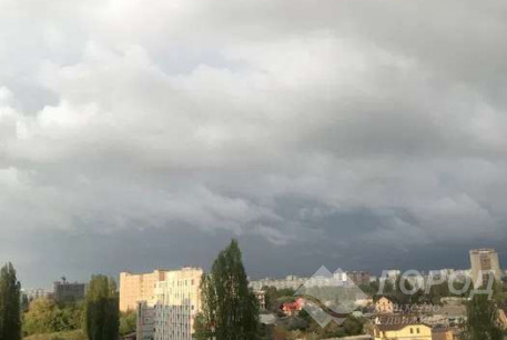 Продам 2-х кімнатну квартиру, Салтовка, Академика Павлова метро, Код: 798110/1