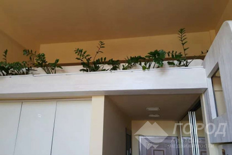 Сдам гостинку, Центр, Архитектора Бекетова метро, Код: 798182/1