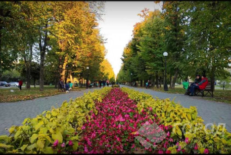 Сдам 1-кімнатну квартиру, Новые дома, Код: 798186/1