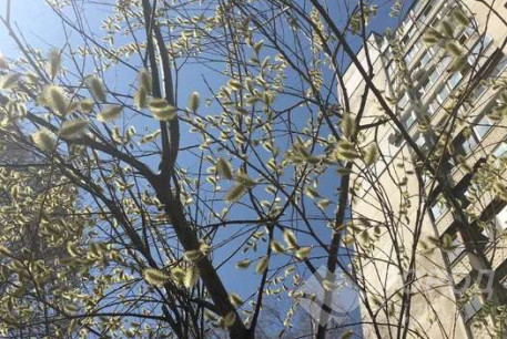 Продам 3-х кімнатну квартиру, Алексеевка, Код: 798218/1