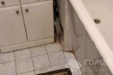 Сдам 3-х кімнатну квартиру, Холодная Гора, Холодная Гора метро, Код: 798226/1