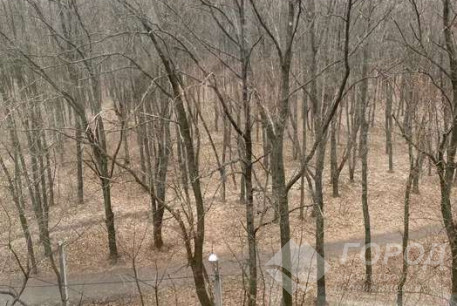 Продам 2-х кімнатну квартиру, Павлово поле, Кафе Дубрава, Код: 798406/1