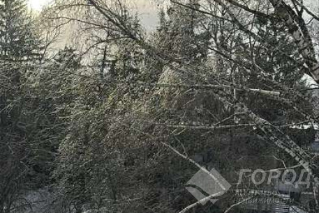 Продам 2-х кімнатну квартиру, Салтовка, Код: 798439/5