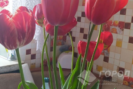 Продам 3-х кімнатну квартиру, Новые дома, Код: 798741/1