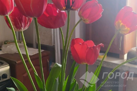 Продам 3-х кімнатну квартиру, Новые дома, Код: 798741/1