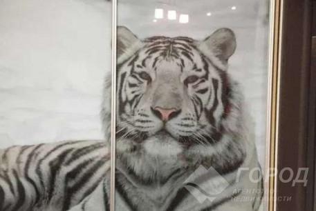 Сдам 2-х кімнатну квартиру, Сосновая Горка, Научная метро, Код: 798781/1