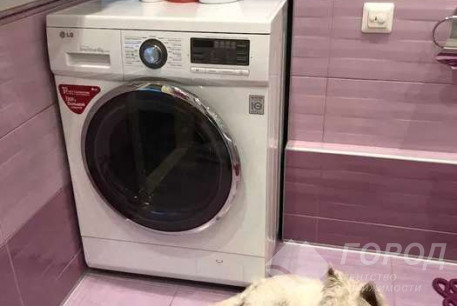 Продам 2-х кімнатну квартиру, Павлово поле, Ботанический сад метро, Код: 799418/1