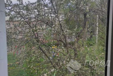 Сдам 2-х кімнатну квартиру, Одесская, Код: 799565/1