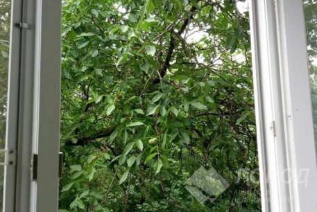 Сдам 1-кімнатну квартиру, Новые дома, Армейская метро (Советской Армии), Код: 799841/1