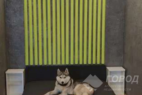 Сдам 1-кімнатну квартиру, Одесская, Код: 799938/1