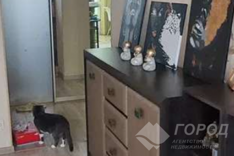 Сдам 1-кімнатну квартиру в новобудові, Салтовка, Код: 799945/1