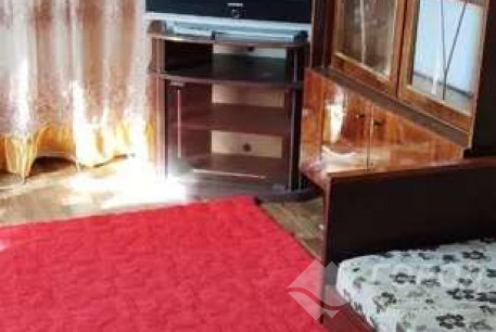 Сдам 1-кімнатну квартиру, Салтовка, Академика Барабашова метро, Код: 800375/1