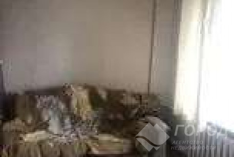 Сдам 1-кімнатну квартиру, Холодная Гора, Код: 800473/1