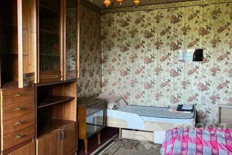 Сдам 2-х кімнатну квартиру, Салтовка, Код: 800516/1