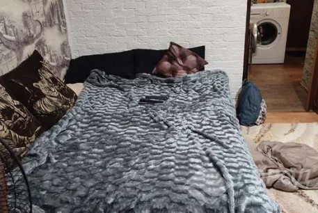 Продам 1-кімнатну квартиру, ХТЗ, Масельского метро, Код: 800545/1