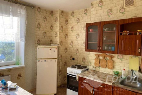 Сдам 1-кімнатну квартиру в новобудові, Салтовка, Академика Барабашова метро, Код: 800715/1