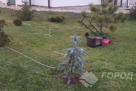 Продам дом, Харьковский р-н, Коротыч, Код: 800759/1