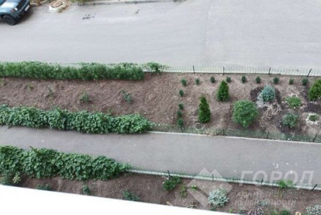 Сдам 2-х кімнатну квартиру, Салтовка, Код: 800823/1