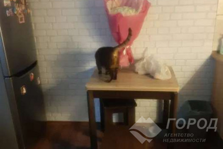 Сдам гостинку, ХТЗ, Код: 800902/1