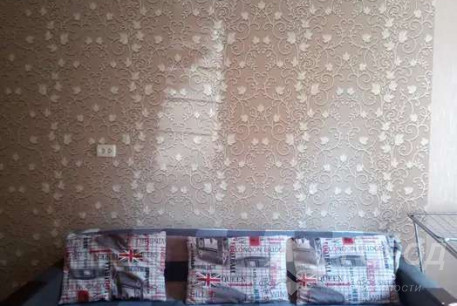 Сдам 1-кімнатну квартиру, Салтовка, Студенческая метро, Код: 801309/1