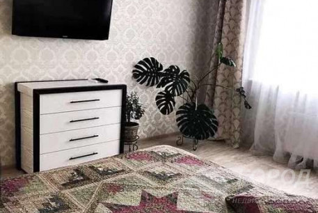 Сдам 1-кімнатну квартиру, Салтовка, Студенческая метро, Код: 801516/1