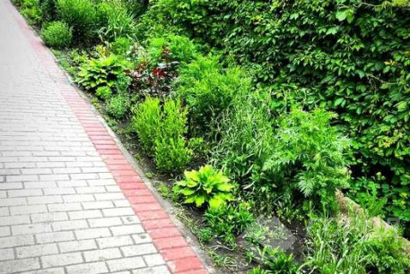 Продам 1-кімнатну квартиру, Салтовка, Академика Павлова метро, Код: 801661/1