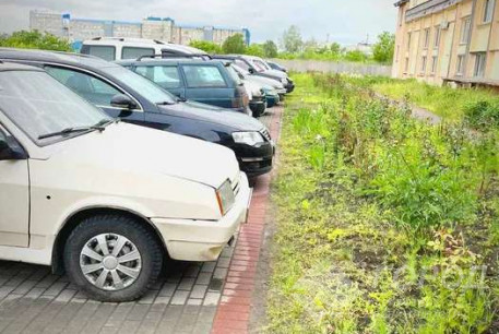 Продам 1-кімнатну квартиру, Салтовка, Академика Павлова метро, Код: 801661/1