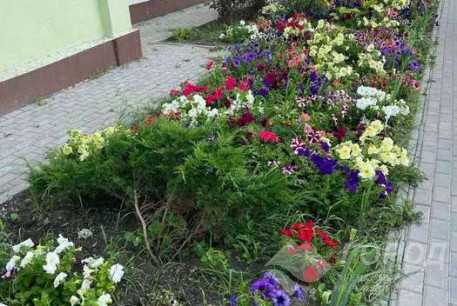 Продам 1-кімнатну квартиру в новобудові, ХТЗ, ХТЗ метро, Код: 801749/1