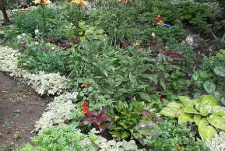 Продам 1-кімнатну квартиру, Рогань, Код: 801757/1