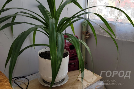 Продам гостинку, Журавлевка, Код: 801915/1