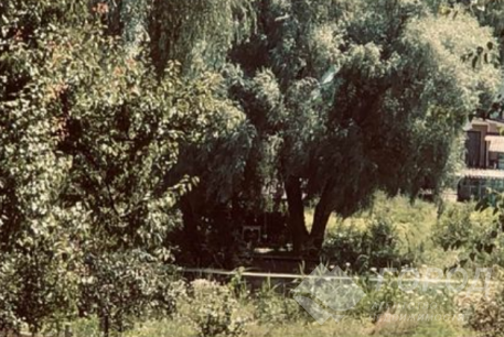 Продам дом, Балаклейский р-н, Балаклея (Балаклейский р-н), Код: 801944/1