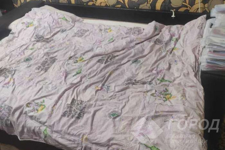 Продам гостинку, ХТЗ, Код: 801995/1