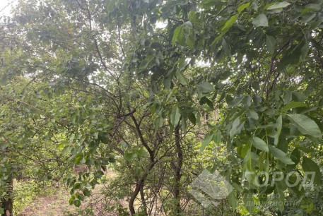 Продам 2-х кімнатну квартиру в новобудові, Одесская, Код: 802250/1