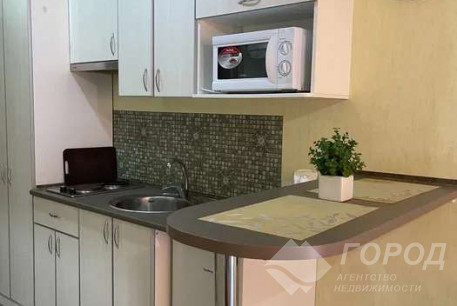 Сдам гостинку, Гагарина проспект, Метростроителей метро, Код: 802374/1