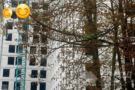 Продам 1-кімнатну квартиру в новобудові, Центр, Код: 802565/2