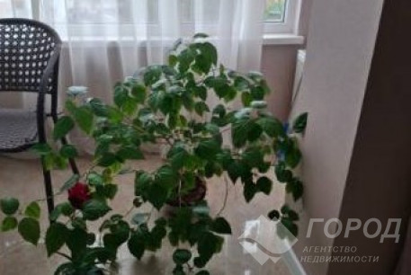 Продам 2-х кімнатну квартиру в новобудові, Алексеевка, Код: 802938/8