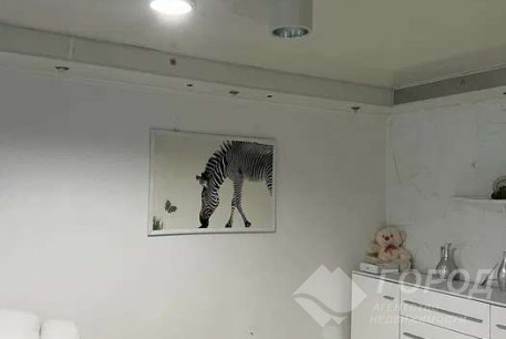 Сдам 1-кімнатну квартиру, Жуковского, Код: 803934/1
