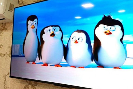 Сдам 1-кімнатну квартиру в новобудові, Алексеевка, Победа метро, Код: 804076/3