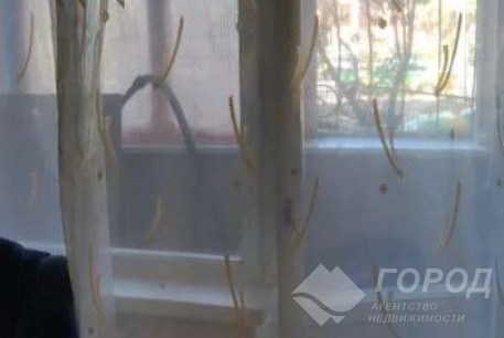 Продам 1-кімнатну квартиру, Новые дома, Маршала Жукова метро (Дворец спорта), Код: 804161/1