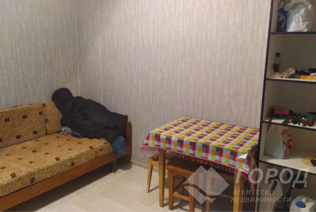 Сдам гостинку, Новые дома, Код: 804319/1