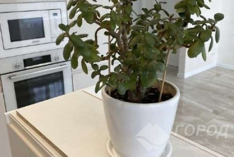 Продам 3-х кімнатну квартиру в новобудові, Холодная Гора, Холодная Гора метро, Код: 804375/1