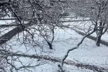 Продам 4-х кімнатну квартиру, Салтовка, Героев Труда метро, Код: 804459/1