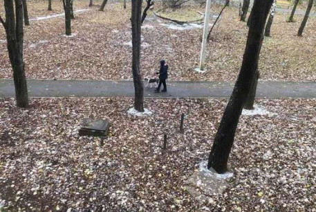 Сдам 2-х кімнатну квартиру, Салтовка, Код: 804490/1