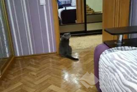 Продам 3-х кімнатну квартиру, Изюмский р-н, Изюм г. (Изюмский р-н), Код: 804499/1