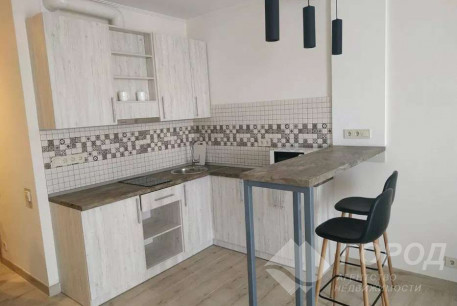 Сдам 1-кімнатну квартиру в новобудові, Сосновая Горка, Научная метро, Код: 804606/4