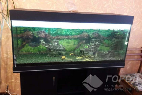 Сдам 2-х кімнатну квартиру, Одесская, Код: 804710/1