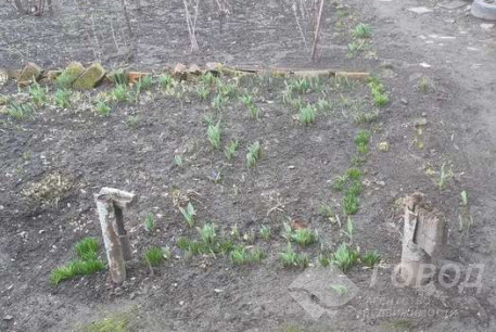 Продам 2-х кімнатну квартиру, Гагарина проспект, Метростроителей метро, Код: 804815/2